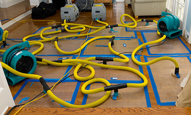 Professional Storm Water Damage Restoration technician working in Hasty, CO
